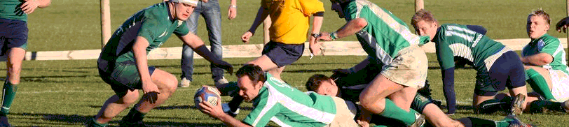 Sussex header 22.gif